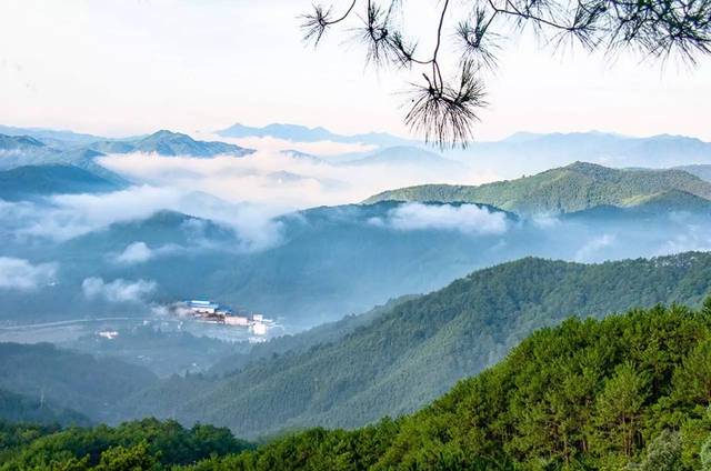 顺昌gdp增长_顺昌宝山