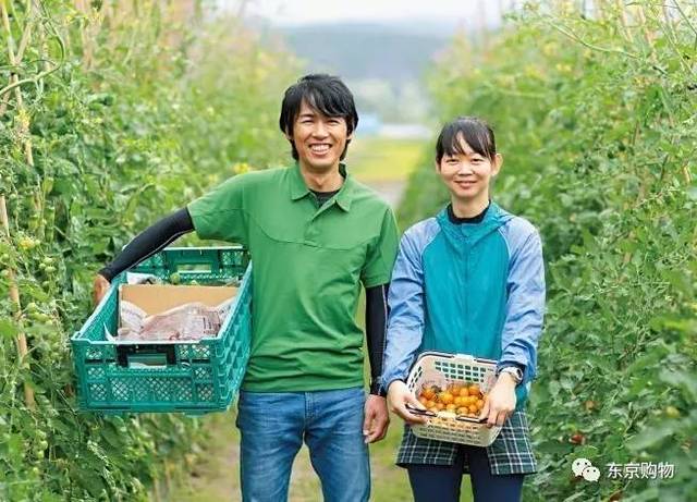 日本农民一年能赚多少?你要知道了,或自叹不如了