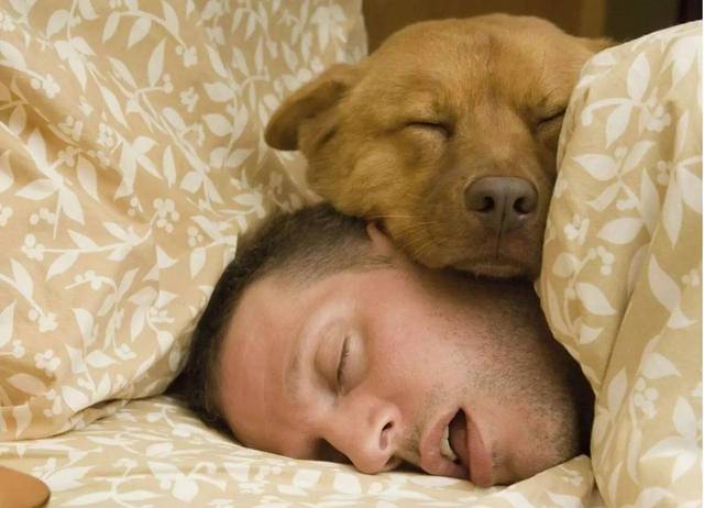"休息史"上最大的讹传——睡觉是最好的休息方式