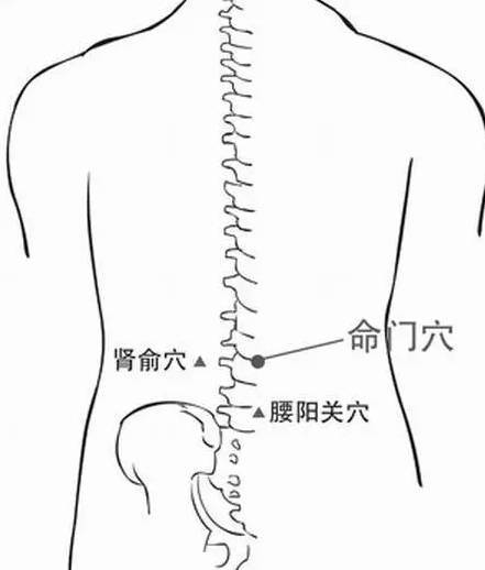 2,命门