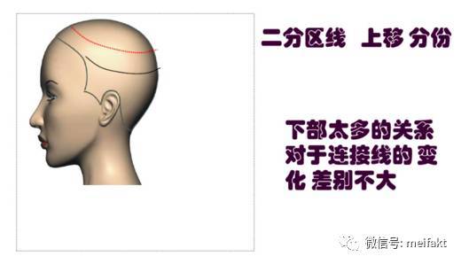 剪发的基本分区-日式剪发分区技巧