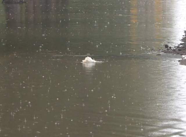 大雨再次来袭 你挨浇了吗?