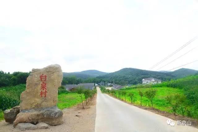 《美丽宜居乡村》并列第二名 曹武镇白泉村