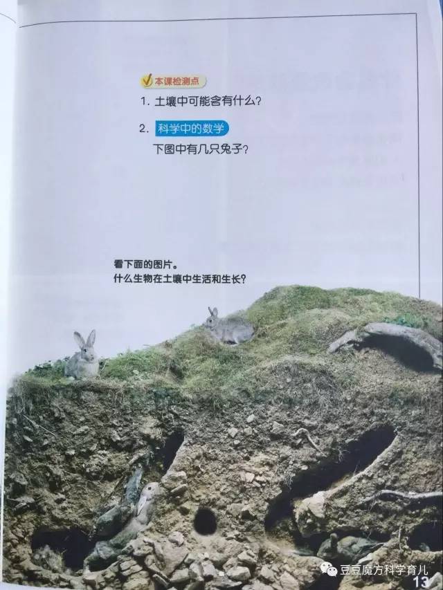 就这么一个关于岩石和土壤的知识点,有科普,有问答,有游戏,课程时间