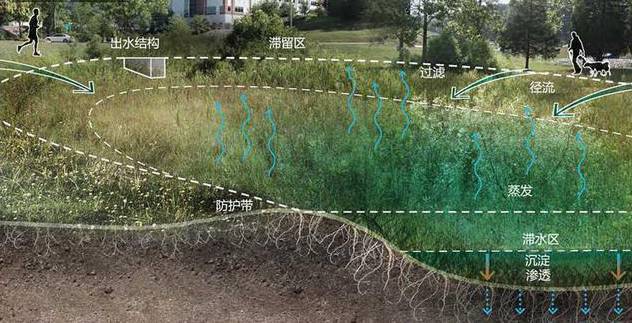 【生态系统】城市积水案例层出不穷,海绵城市离你还远