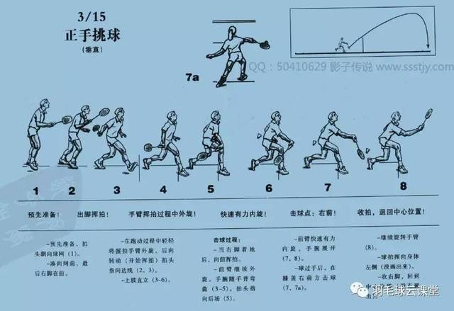 经典羽毛球教学:羽毛球标准动作图解