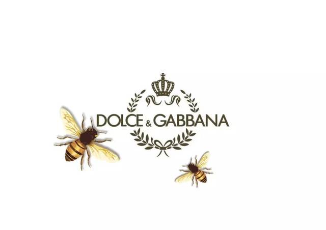 你喜欢gucci的小蜜蜂还是dolce&gabbana的小蜜蜂,还是