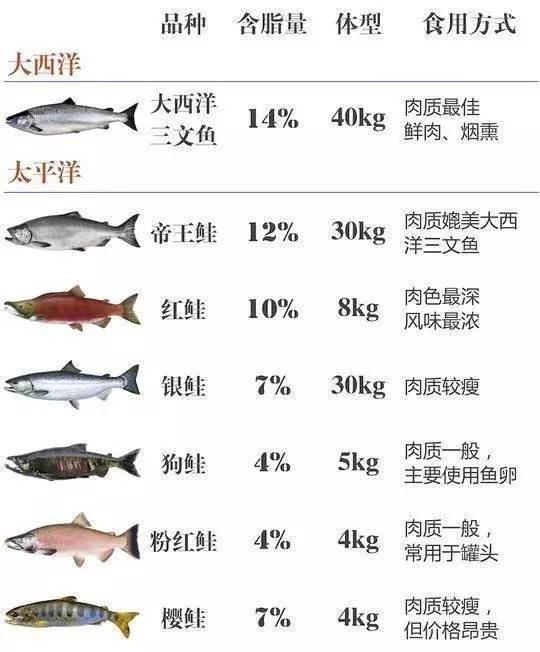 库克山下,有一个世界上最高的淡水三文鱼养殖中心——库克山高山鲑鱼