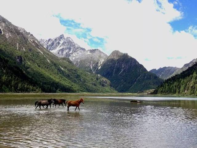 甘孜的莲花湖,满足你对夏季里的楚楚动人.