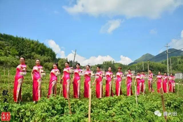 福建·大田旗袍美女斗艳茶乡屏山!带你领略不一样的风景!