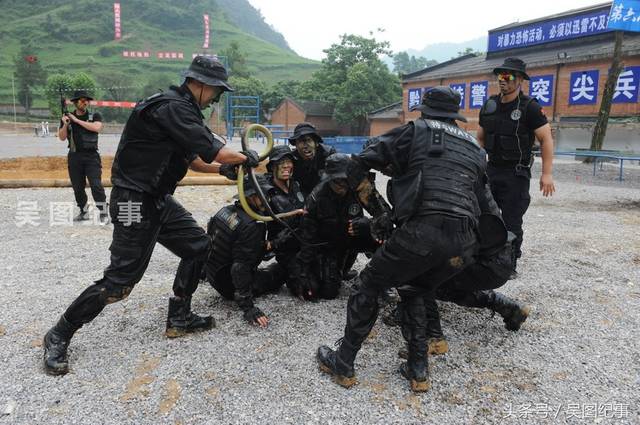 实拍特警训练中抓蛇生吸蛇血,练就野外生存技能