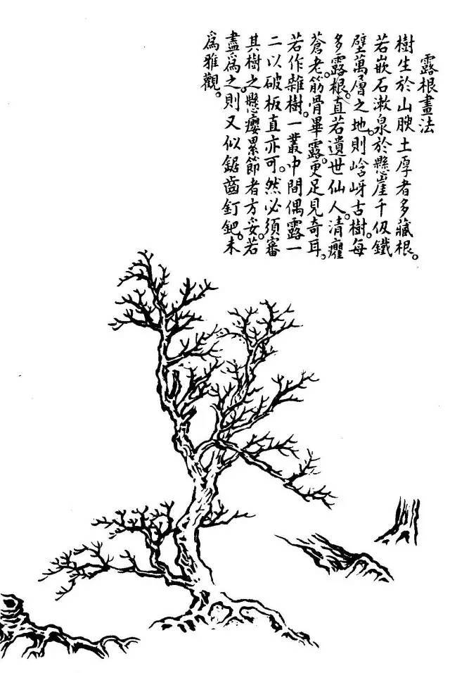 7x 120.8cm   露根法 树根的画法