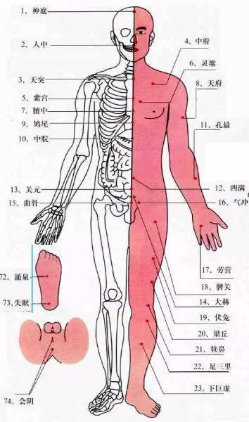 【背部图及口诀】