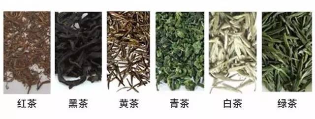 绿茶,红茶,白茶,黄茶,青茶,黑茶…这下终于都懂了