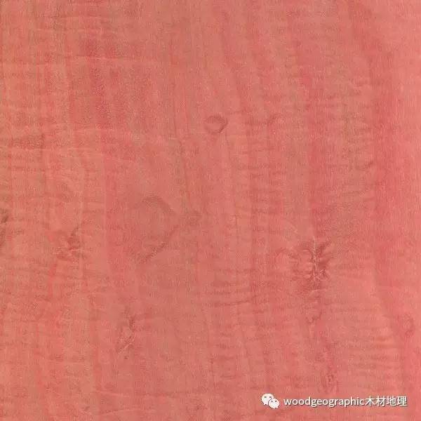 粉红象牙木(Pink Ivory)木材介绍