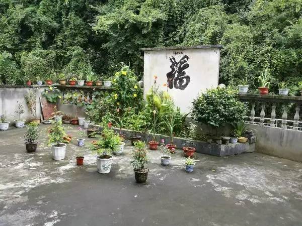 修建美化了一处厕所;动员群众搞好房前屋后绿化,村容村貌有了翻天覆地