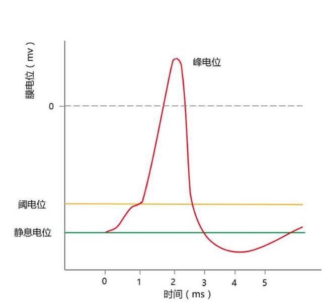 case-control研究中阈值效应及趋势检验