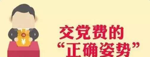 党建丨组织生活的仪式感,从交党费做起