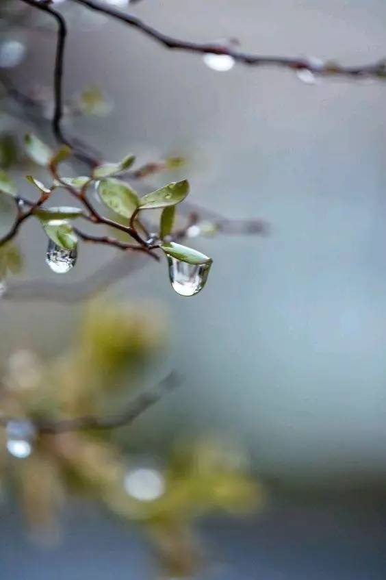 雨天的各种取景拍摄方式 别再忙着躲雨了!