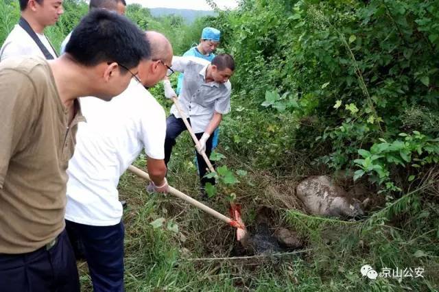 装有受害人尸块的编织袋被挖出 受害人周某因对向某与杨某的亲密