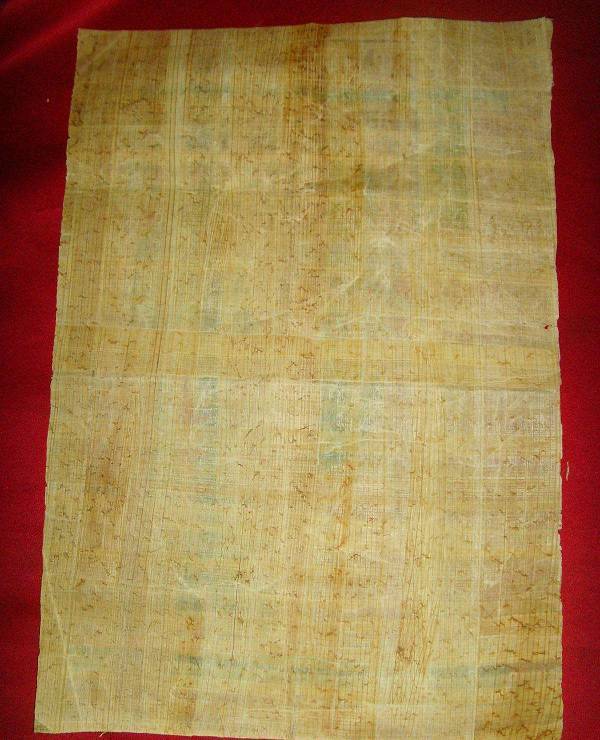 埃及纸莎草纸:承载了古代欧亚非文明,但它真的不是纸