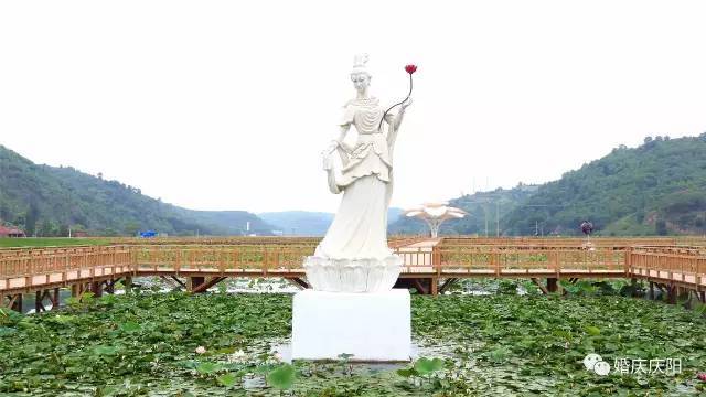 华池县居然有这么美的荷花池8月18日不去都觉得对不住华池人快看看在