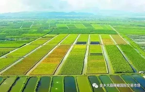 世界农业最发达的六大国家,中国未上榜