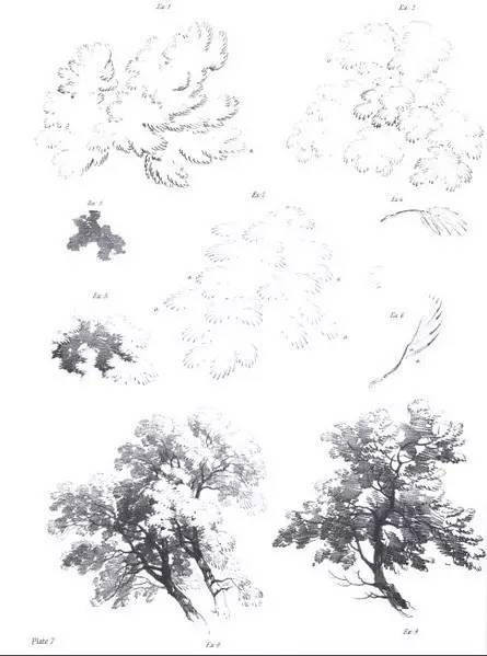 绘画资料|40张图教你学会经典素描风景与树!_手机搜狐网