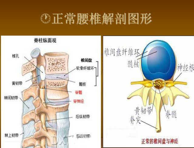 都是坐着的时候占大多数,那么 久坐会引起腰部肌肉,筋膜,韧带等疲劳