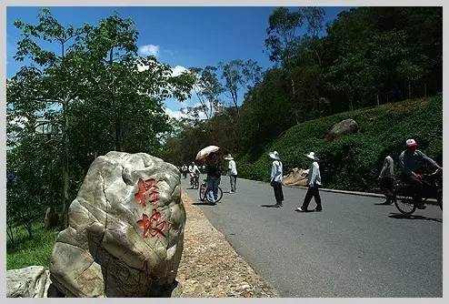 地址:厦门市思明区东坪山.   厦门金光湖原始森林 天然氧吧