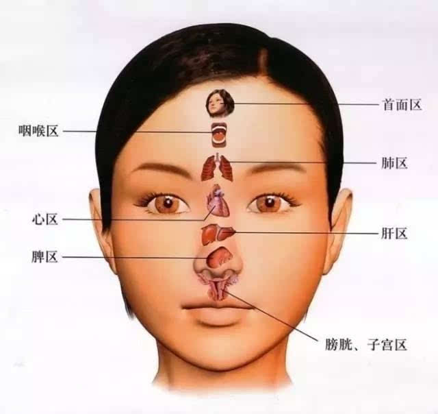 脸上色斑的成因与分类图示