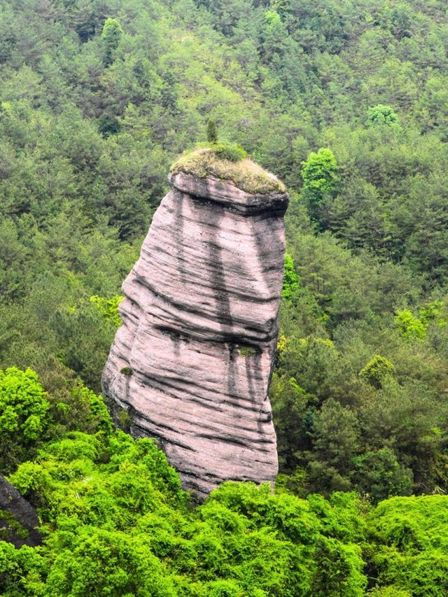 冠豸山:探访"生命之根"与"生命之门"【踏青】