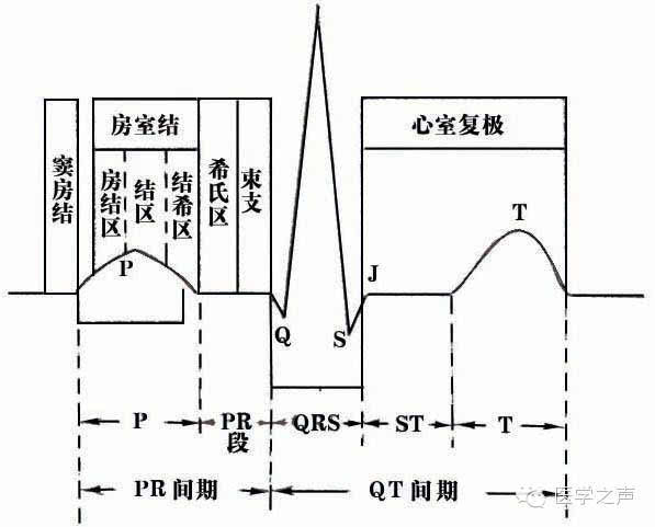 心电图课堂|第1期:每天学看一份心电图