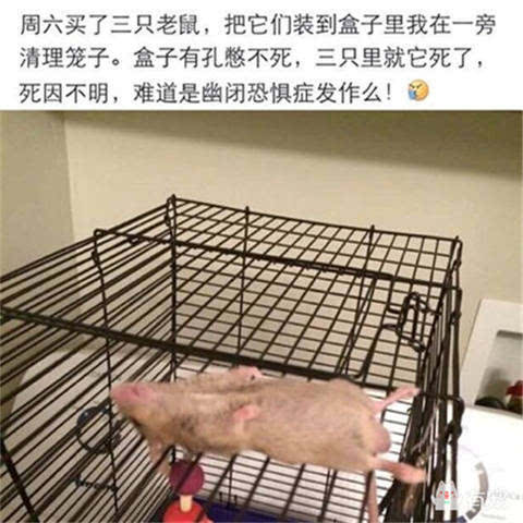 人和动物名称猜成语_看图猜成语(2)