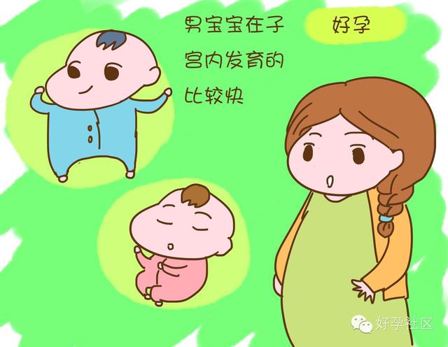 一直以来都有这样一个说:如果是男孩子一般都会早生,在预产期之前,而