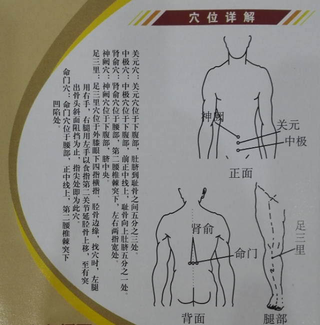 儿童三伏贴敷的穴位图示