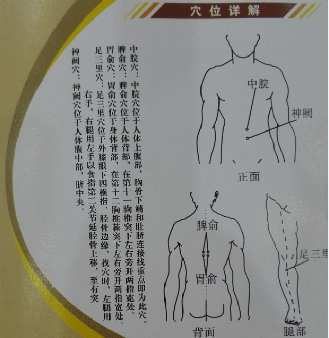 儿童三伏贴消化系统穴位图