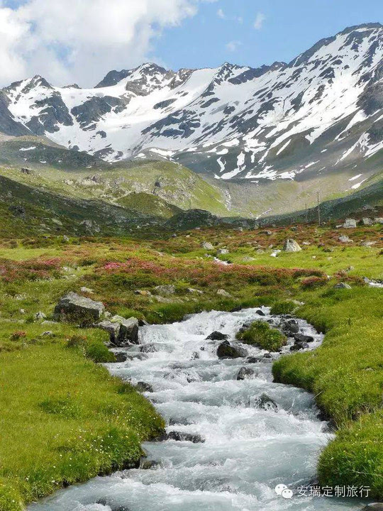 森林,古堡,雪山,湖泊.瑞士真的美cry!