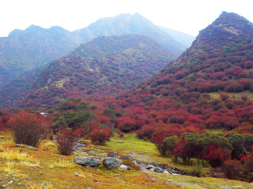 湟中八景—金娥晓日-旅游频道-手机搜狐