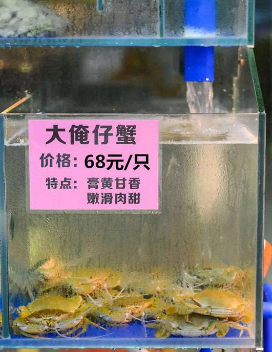 草绳 市面上大部分蟹都草绳重过蟹 睇下d蟹咁生猛就知道用料有几新鲜!