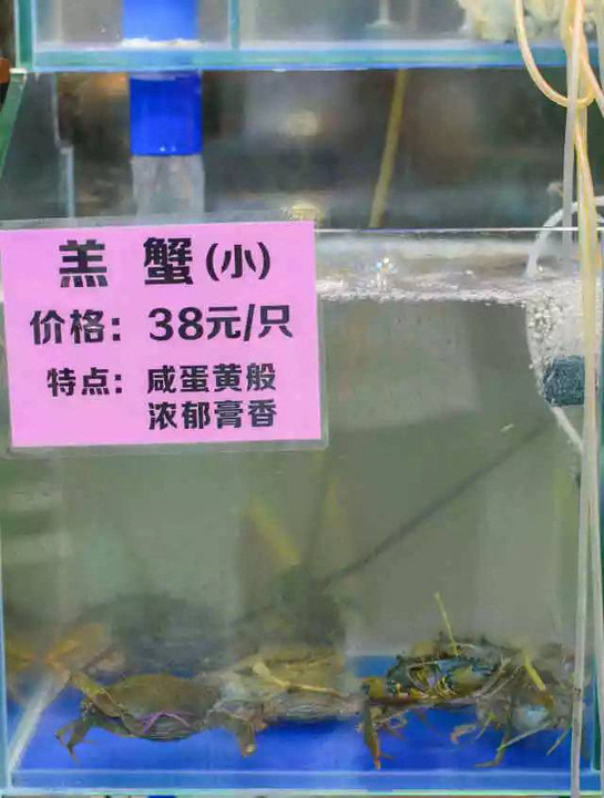 草绳 市面上大部分蟹都草绳重过蟹 睇下d蟹咁生猛就知道用料有几新鲜!