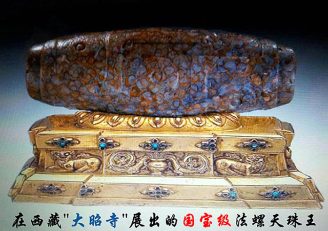 最著名的就是现在供奉在西藏大昭寺的国宝九眼法螺天珠王
