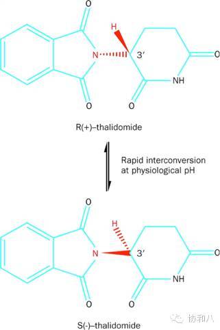 由于沙利度胺在体内代谢会自动生成消旋体,因此两种异构体的作用很难