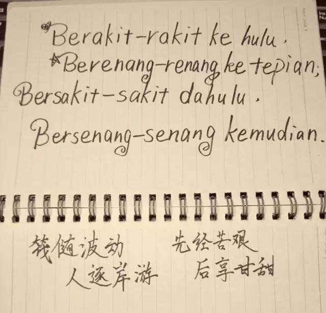 法语—波兰语—阿拉伯语—乌尔都语&印地语—韩语