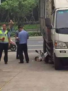 电动车被卷入货车底部,骑手当场死亡,司机哭着报警.