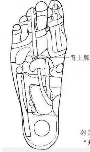 脚底肾上腺反射区,是解缓胸闷气短的良方妙药.