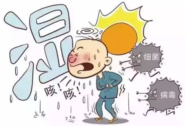 湿热体质新的养生方法