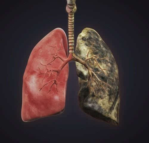 加老姜和这3个成分,肺可以清得一干二净!