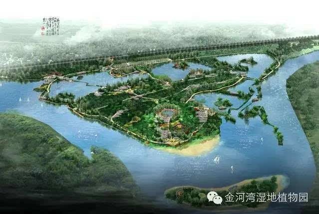 金河湾湿地植物园景区简介