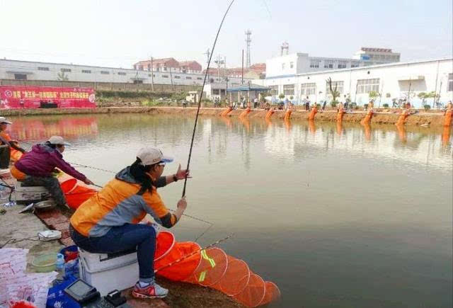 钓鱼人看这里,手把手教你钓好黑坑